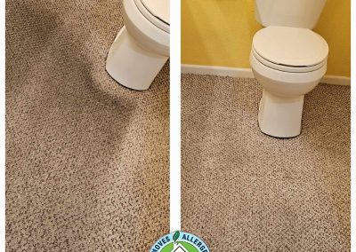 carpeted bathroom cleaning