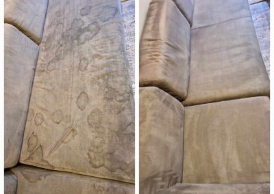pet sofa cleaning
