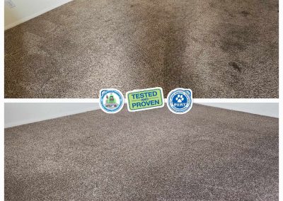 dirty carpet cleaning