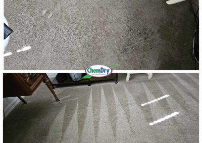 clean lines after a carpet cleaning