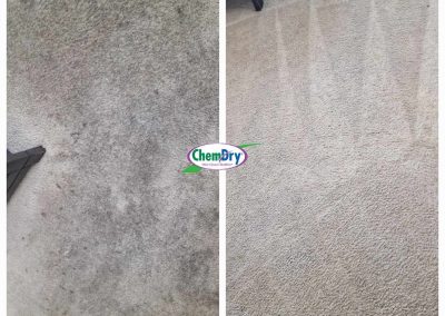 small guest room carpet cleaning