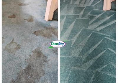 green carpet cleaning