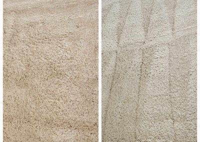soft lines carpet cleaning