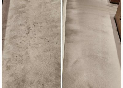 living room carpet cleaning